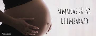 We did not find results for: Segundo Embarazo Semana 28 A La 33 Maternitis Maternidad Crianza Y Planes En Familia