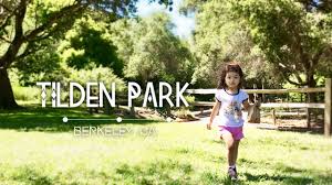 Tilden Regional Park Top Places In Orinda California