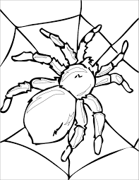 Coloring pages free for kids educational fun free printable coloring pages insects coloring pages bookmark a to z coloring save bug insect coloring pages free fun site for teachers parents and kids featuring free educational games coloring pages interactive ebooks holiday activities. Spider Insect Coloring Page Coloringbay