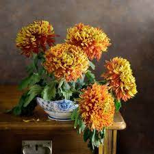 Red Chrysanthemum Print By Nikolay Panov Red Chrysanthemums Chrysanthemum Floral Prints Art