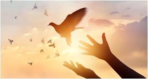 Love, Hope and Renewal