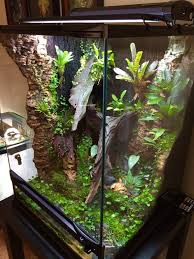 18x18x24 R Varadero Build Dendroboard Varadero Building Plant Growth