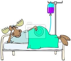 A sick woman sits in bed and cleans her nose on february 13, 2018 in bonn, germany. Krank Im Bett Elch Leinwandbilder Bilder Elch Schlauch Droge Myloview De