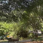 Second Friday Walk in the Park @ John Howell Park