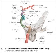 Penduduk negara mana yang biasanya memakai pakaian negaranya ica ica. Jawaban Ica Ica