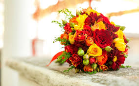 10 plants & flowers to beautify your garden this spring. What Is The Best Way To Protect The Flowers In The Winter Blooms Only Pune Blog Fresh Flowers Across Pune