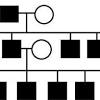 International scientific vocabulary, from hol + andr + ic date: 1