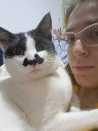 Is Moustache a kitler? : r/Kitler