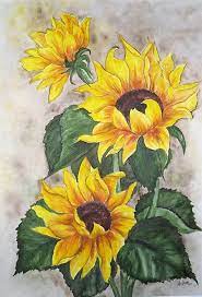 We did not find results for: 80 Simple And Easy Watercolor Paintings For Beginners