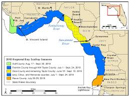 Sea Fishing Size Limits Chart Read All Fishing Rules And