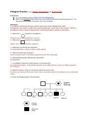 This quiz is based on a pedigree diagram that represents biological relationships. Pedigree Practice Answer Key 1 1 Doc Pedigree Practice Answer Key Name Date Directions Go To The Following Website Course Hero