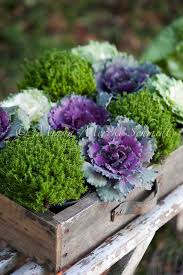 Flowers, fruit, evergreen foliage, winter plants and colourful stems all have their part to play, lifting the spirits on even the darkest of days. How To Make Winter Garden Planters The Garden Glove