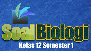 Pin Di Soal Biologi Dan Kunci Jawaban