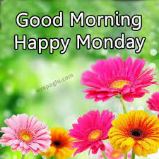 Monday good morning flowers images. 50 Good Morning Monday Blessings Images Free Download
