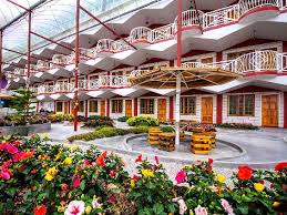 Maybe you would like to learn more about one of these? Hotels Near Cameron Highlands Klia2 Info