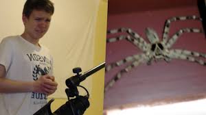 The clock spider meme originates in a series of three photographs depicting the spider, first posted in april 2003 by kenratboy on the klipsch.com message boards, in a thread called look at this. Huge Scary Clock Spider Reddit 50 50 Challenge Freak Out Youtube