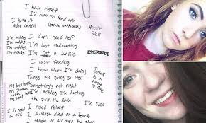 Web searches revealed of girls who plotted 'Columbine' attack