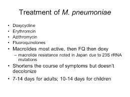 Class Mollicutes Order Mycoplasmatales Includes Plant Bird And Animal Mycoplasmas Family Mycoplasmataceae Humans And Animals Genera Mycoplasma Ppt Video Online Download