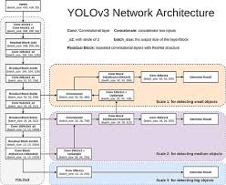 In one pass we can go from an input image to the output tensor which corresponds to the detections for the image. Yolov3 Tutorial Understanding What Is Yolov3 And How It Works