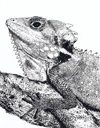 Pin On Pen And Ink By Vicky Pratt