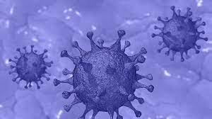 It was first identified in december 2019 in wuhan,. South African Scientists Make Discovery On Covid Variant