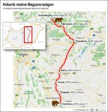 Maďarská republika je stát v evropě. Barna Medve Magyarorszagon Es Europaban Cenweb