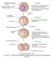 Materi pptx bab 3 : Rangkuman Ipa Kelas 9 Semester 1 Kurikulum 2013