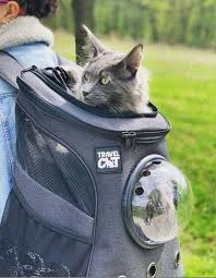 Airline approved cat window backpack. The Fat Cat Cat Backpack For Larger Cats Bubble Cat Carrier Your Cat Backpack