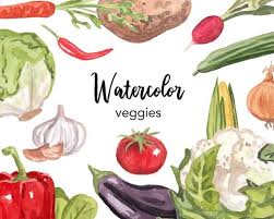 Search for what you need or browse by topic to view samples from clip art sites all over the web. Watercolor Clipart Vegetables Clipart Food Kitchen Veggie Etsy Fruit Clipart Watercolor Watercolor Clipart