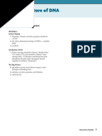 Choose from 415 different sets of flashcards about complementary base pairing on quizlet. Molecular Basis Of Genetics Handout Dna Replication Nucleotides