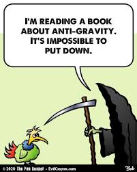 A Little Light Reading Punreaper Reading Giveahootreadabook Books Dadjokes Puns Cartoon Funny Meme Lol Wordplay G Reading Light Puns Books To Read