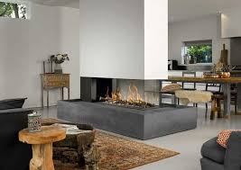 Terrific Photographs Gas Fireplace How To Use Style Gaskamin Raumteiler Gaskamin Gaskamin Ideen