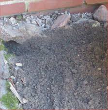 Garten Ideen 26 Luxus Ratten Im Garten Was Tun O78p Check More At Https Jboyprints Com Garten Ideen 26 Luxus Ratten Im Garten Was Tun O78p