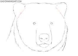 Watch how to draw a polar bear. How To Draw A Bear Head Easy Drawing Art