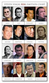 10 Expository Steven Seagal Emotion Chart