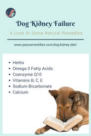 A regular dosage can be used as indicated on the. Dog Kidney Diet And Natural Remedies For Dogs With Crf Pawsome Oldies Kidney Diet Kidney Diet For Dogs Kidney Disease Diet