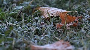 Además de la temperatura, el viento, la humedad y la presión, incluimos datos sobre la probabilidad de precipitación para que pueda tener toda la información sobre su destino antes de su viaje. Ola De Frio Y Caida De Nieve Revisa El Pronostico Del Tiempo Para Los Proximos Dias En Santiago Infinita Cl