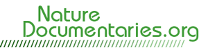 Maybe you would like to learn more about one of these? Nature Documentaries Discover Stunning Free Documentaries