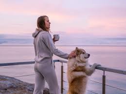 The svalbard islands are located in the arctic ocean, halfway between norway and the north pole. What It S Really Like To Live In Rugged Svalbard Norway