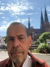 Arkeolog pekar ut missarna i SVT-satsningen "Historien om Sverige"