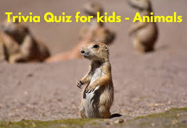 This post was created by a member of the buzzfeed communit. Best Trivia Questions On Animals Worksheet Questions And Answers 1 Science Education And Tutorials