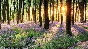 We did not find results for: 30 Minute Sleep Music Sleep Meditation Calm Music Relaxing Music Spa Deep Sleep Music Video Dailymotion