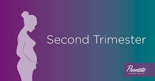 Vitamins, personal care and more. Prenatal Vitamins For Each Stage Of Pregnancy Second Trimester Months 4 To 6 Prenate Vitamin Family