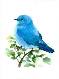 Black Bird With Blue Neck Original Blue Bird Watercolor Painting Nursery Bird Art Illustration Animal Hand Painted Small Wall Decor Mountain Blu Blue Bird Watercolor Bird Birds Tattoo