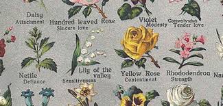 They symbolize love and pure affection. Meaning Of Flowers World Of Flowering Plants