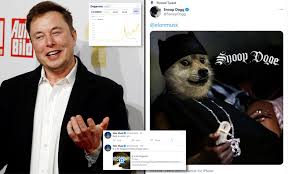 While he used his first tweet back to post he then posted a picture of himself that included the shiba inu dog at the centre of the doge meme, which is also the logo for the cryptocurrency itself. Dogecoin Is Pushed To Record High After Elon Musk S Tweets Daily Mail Online