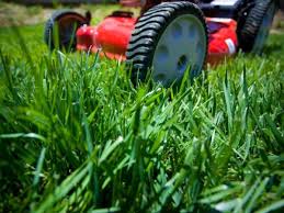 Pickle lawn care is a locally owned and operated company our services are customized to your individual needs, paying close attention to the details of each project that we are involved with. Lawn Care Services Near Me In Wooded Area