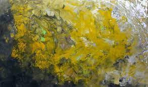 We did not find results for: Mustard Yellow And Grey Abstract Art Featuring Hints Of Lime Green And Black