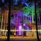Go Ape x Sundown Adventures at Go Ape Southampton event image
