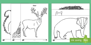 Shield yourself with a canopy of trees and enjoy exploring moss, fallen branches, leaves, mushrooms and let's not forget the wonderful forest animals. Woodland Animals Colouring Pages Primary Resources